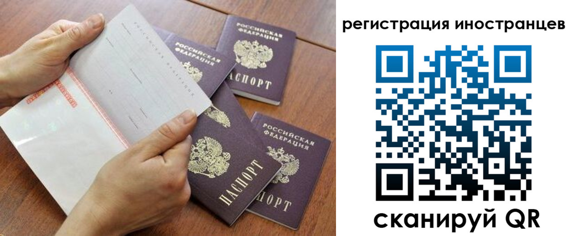 прописка поиск в Покрове